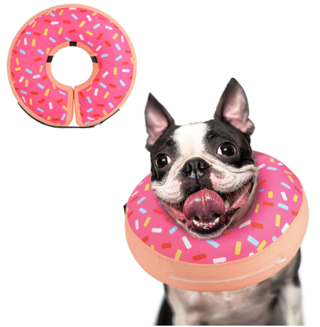 Recovery Collar