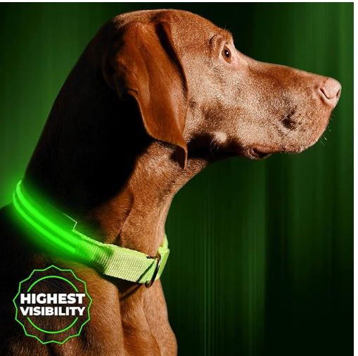 E-Collar Trainer
